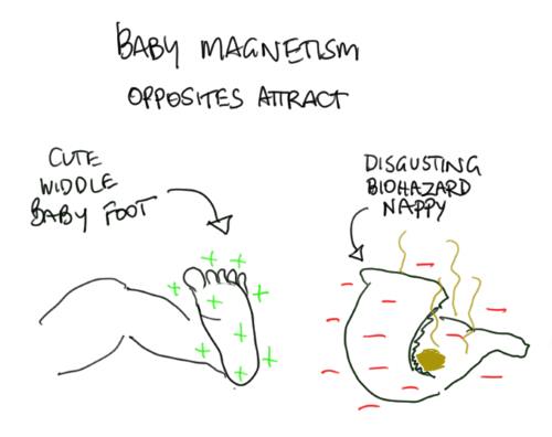 Baby magnetism, opposites attract